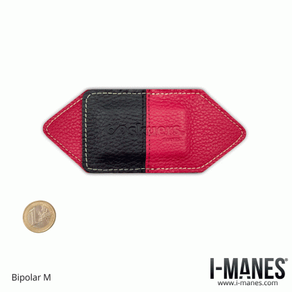 Par de imanes Skuers® Doble Bloque M