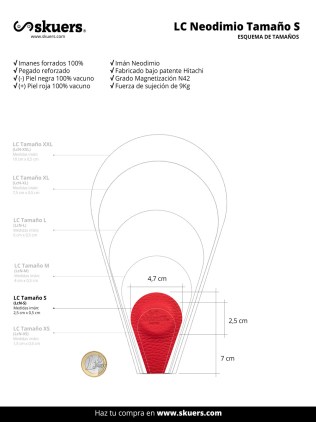 Imanes Biomagnetismo