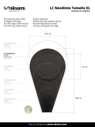 par imanes biomagnetico biomagnetismo medico skuers